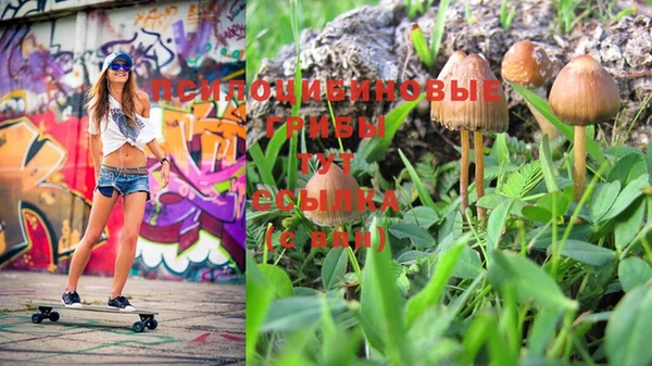 синтетический гашиш Нефтегорск