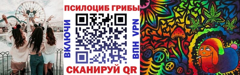 Купить где  Тверь  Галлюциногенные грибы Magic Shrooms